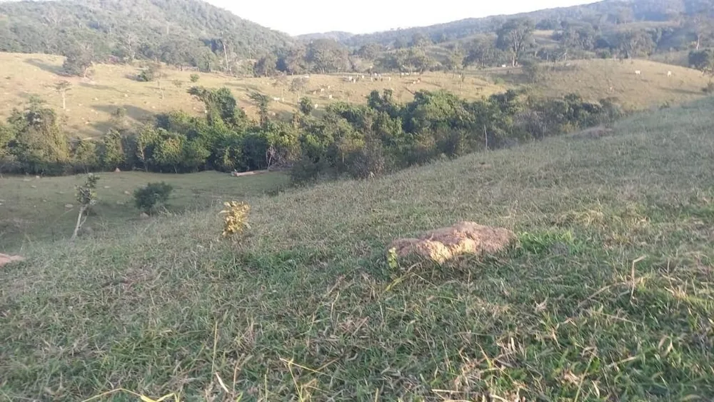 Fazenda, 169 hectares - Foto 3