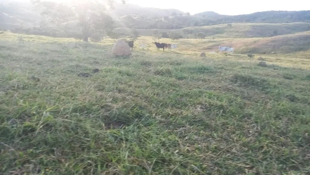 Fazenda, 169 hectares - Foto 2