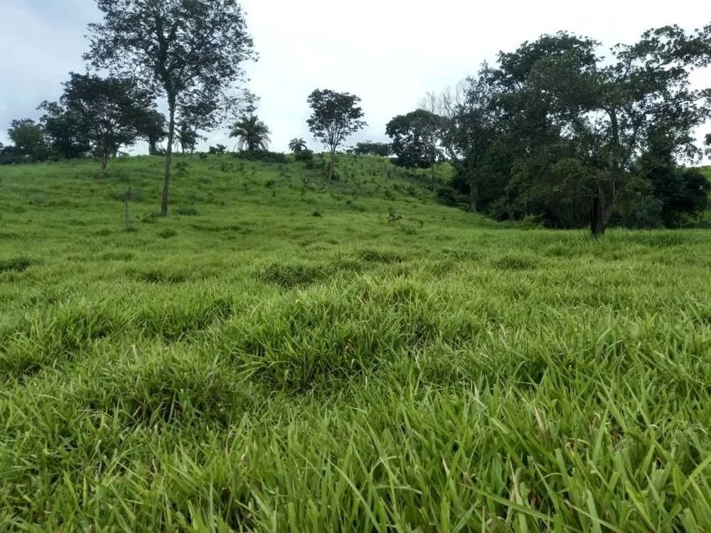 Fazenda, 169 hectares - Foto 4