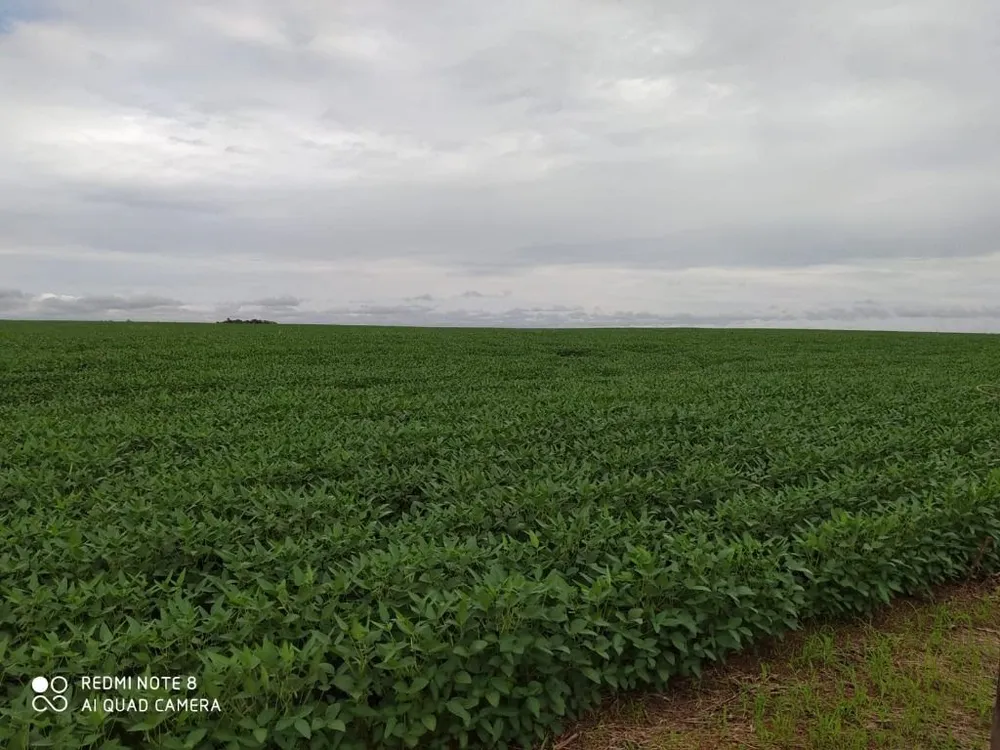 Fazenda, 4530 hectares - Foto 3