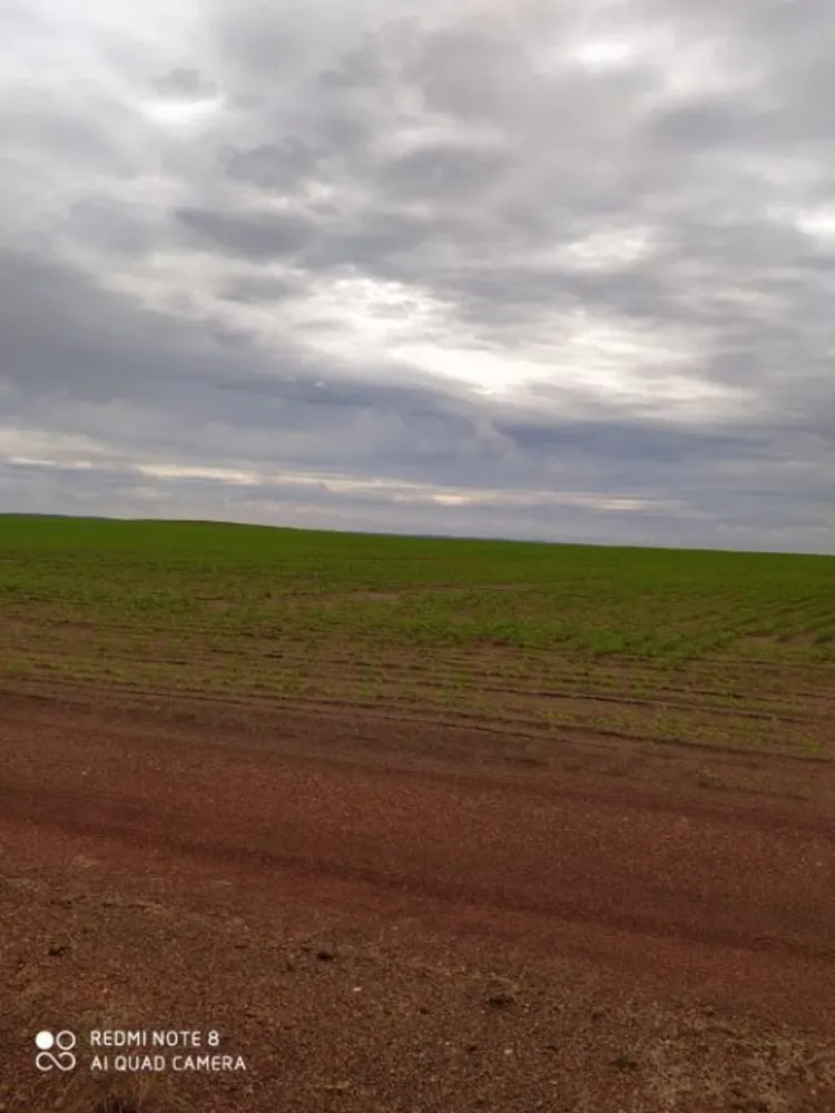 Fazenda, 4530 hectares - Foto 4
