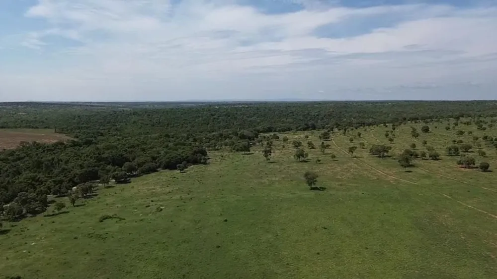 Fazenda, 726 hectares - Foto 1