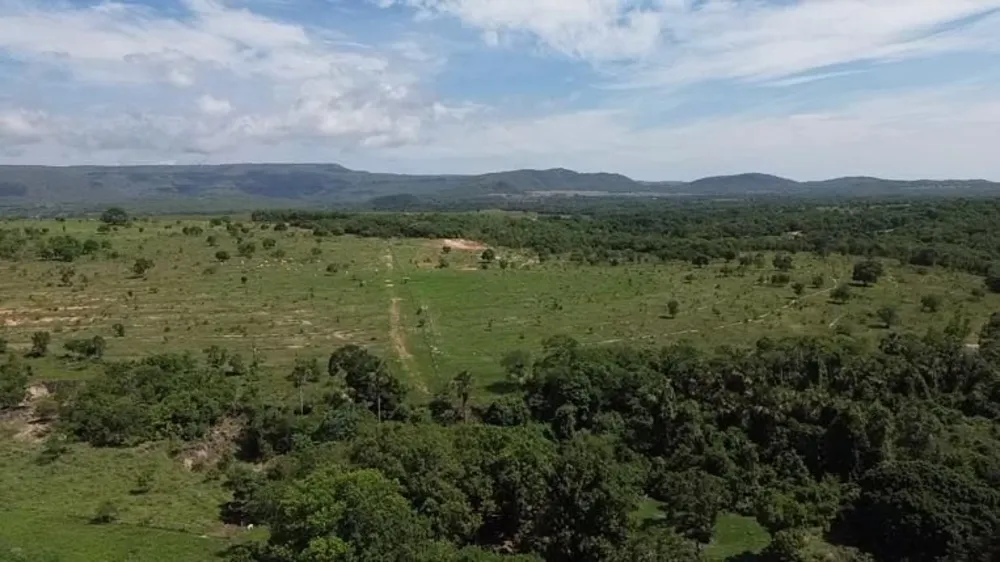 Fazenda, 726 hectares - Foto 3