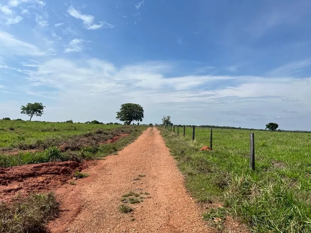 Fazenda, 726 hectares - Foto 2