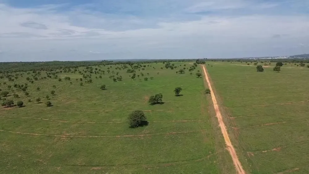 Fazenda, 726 hectares - Foto 4