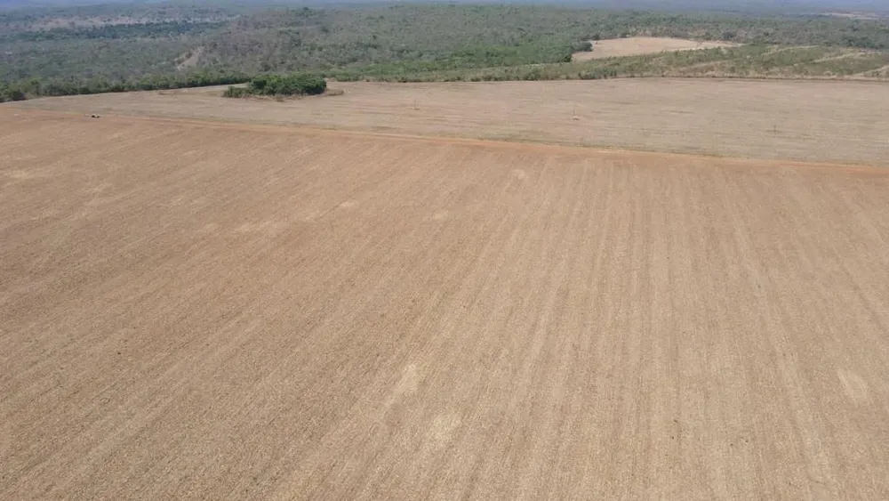 Fazenda, 2005 hectares - Foto 4