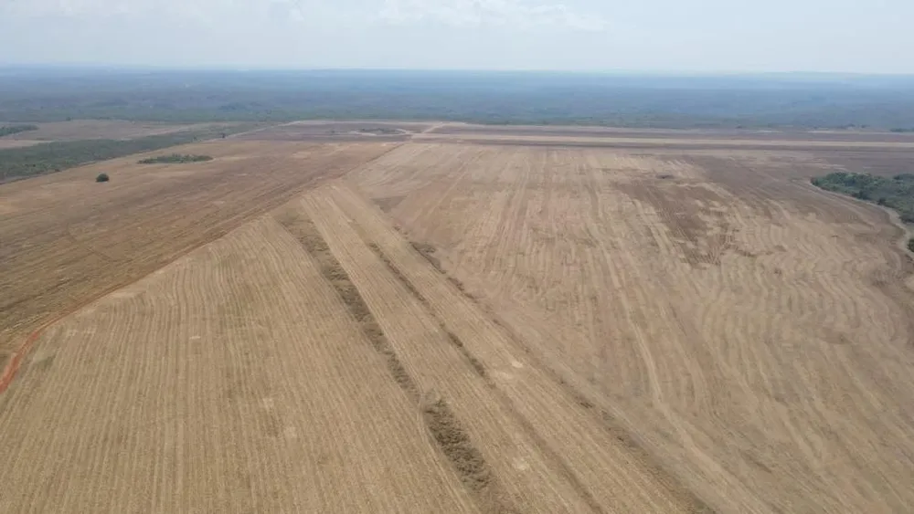 Fazenda, 2005 hectares - Foto 1