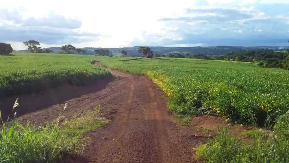 Fazenda, 501 hectares - Foto 3