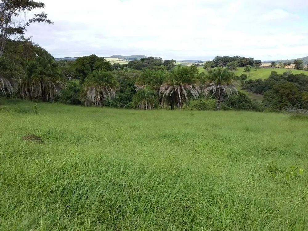 Fazenda, 501 hectares - Foto 1