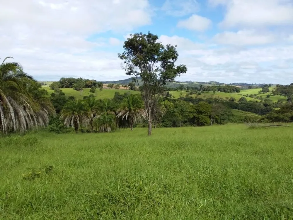 Fazenda, 501 hectares - Foto 4