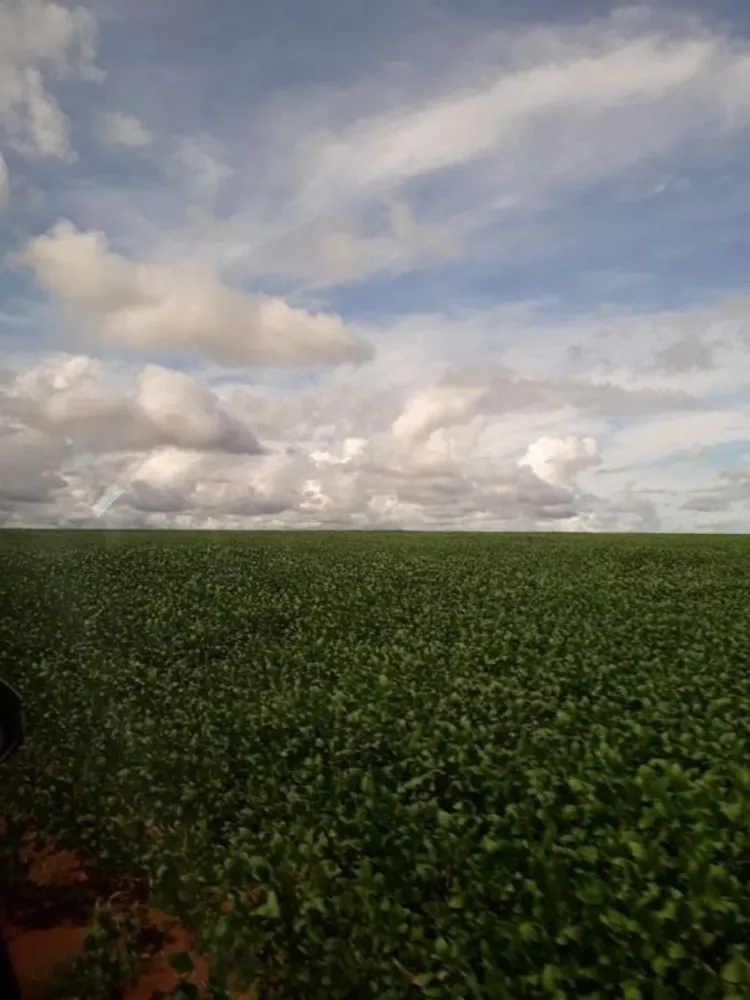 Fazenda, 4773 hectares - Foto 2