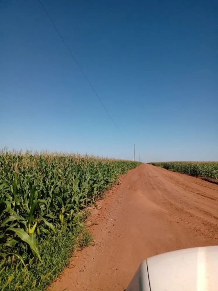 Fazenda, 4773 hectares - Foto 3