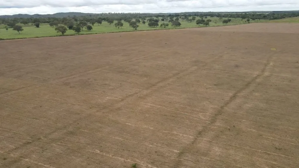 Fazenda, 3001 hectares - Foto 1