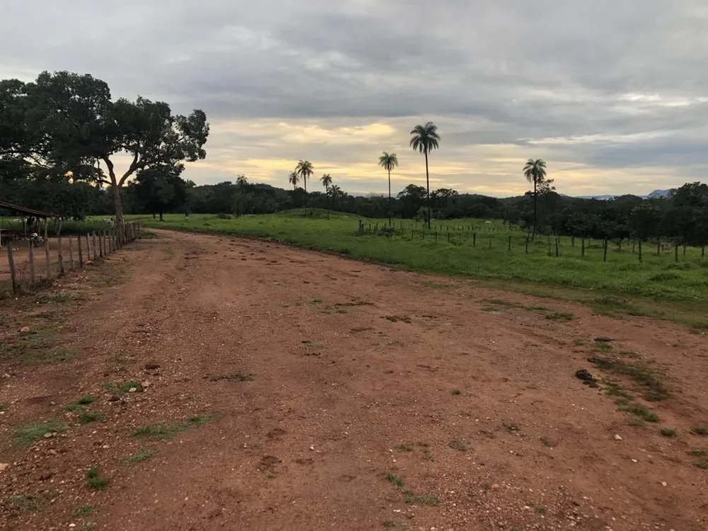 Fazenda, 2725 hectares - Foto 2