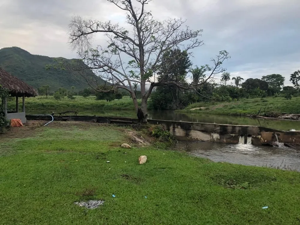 Fazenda, 2725 hectares - Foto 4