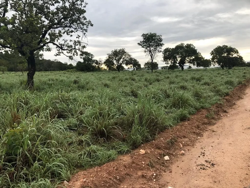 Fazenda, 2725 hectares - Foto 1