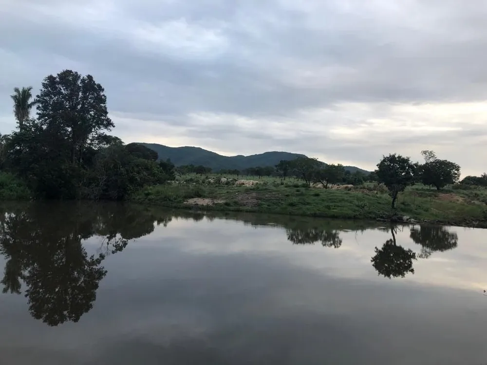 Fazenda, 2725 hectares - Foto 3