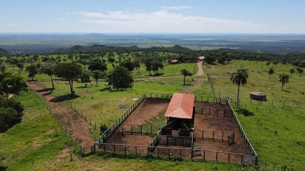 Fazenda, 823 hectares - Foto 2
