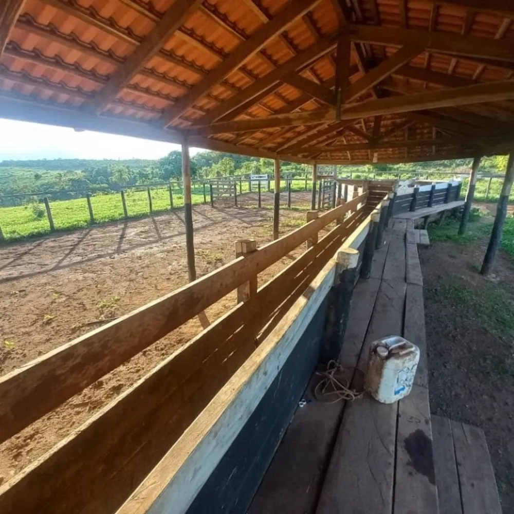 Fazenda, 823 hectares - Foto 4