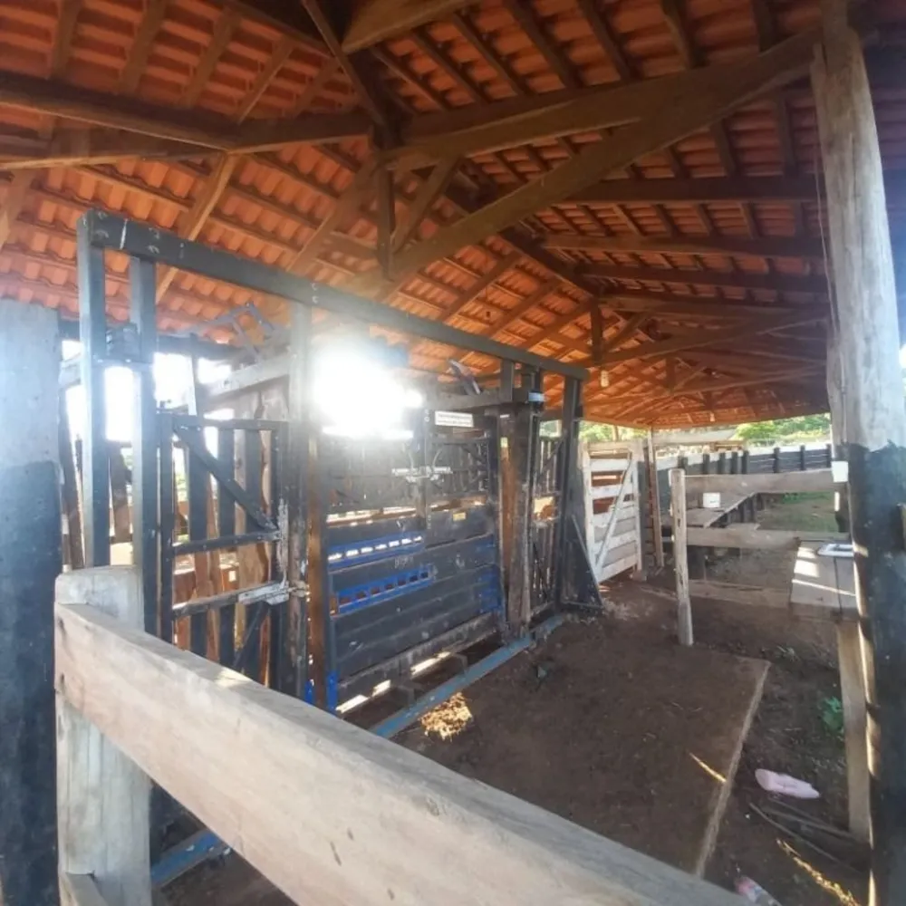 Fazenda, 823 hectares - Foto 1