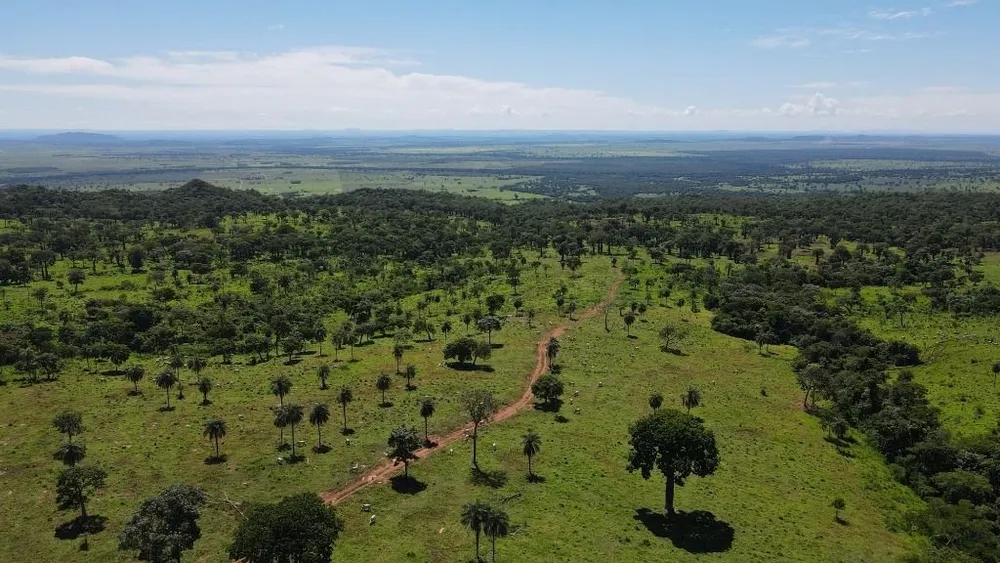 Fazenda, 823 hectares - Foto 3