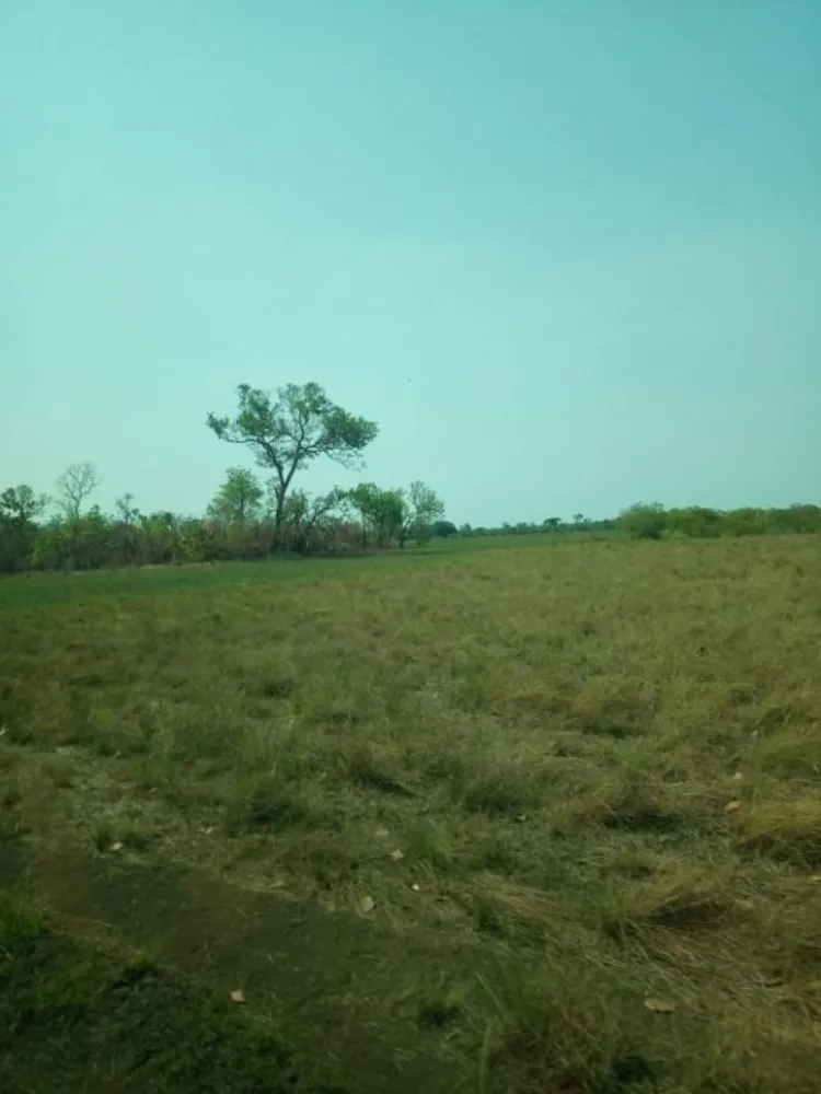 Fazenda, 7200 hectares - Foto 2