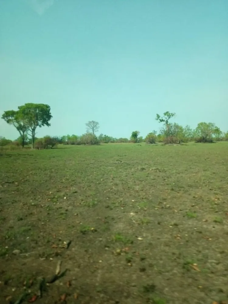 Fazenda, 7200 hectares - Foto 3