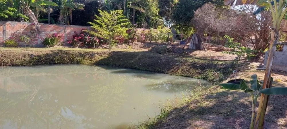 Chácara, 2 quartos, 4000 m² - Foto 4