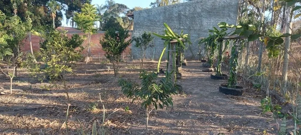 Chácara, 2 quartos, 4000 m² - Foto 2