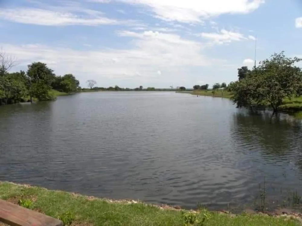 Fazenda, 6000 hectares - Foto 2