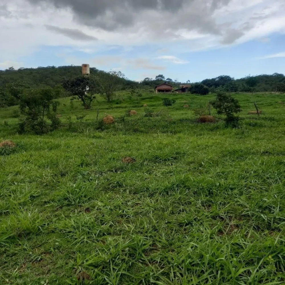 Fazenda, 155 hectares - Foto 2