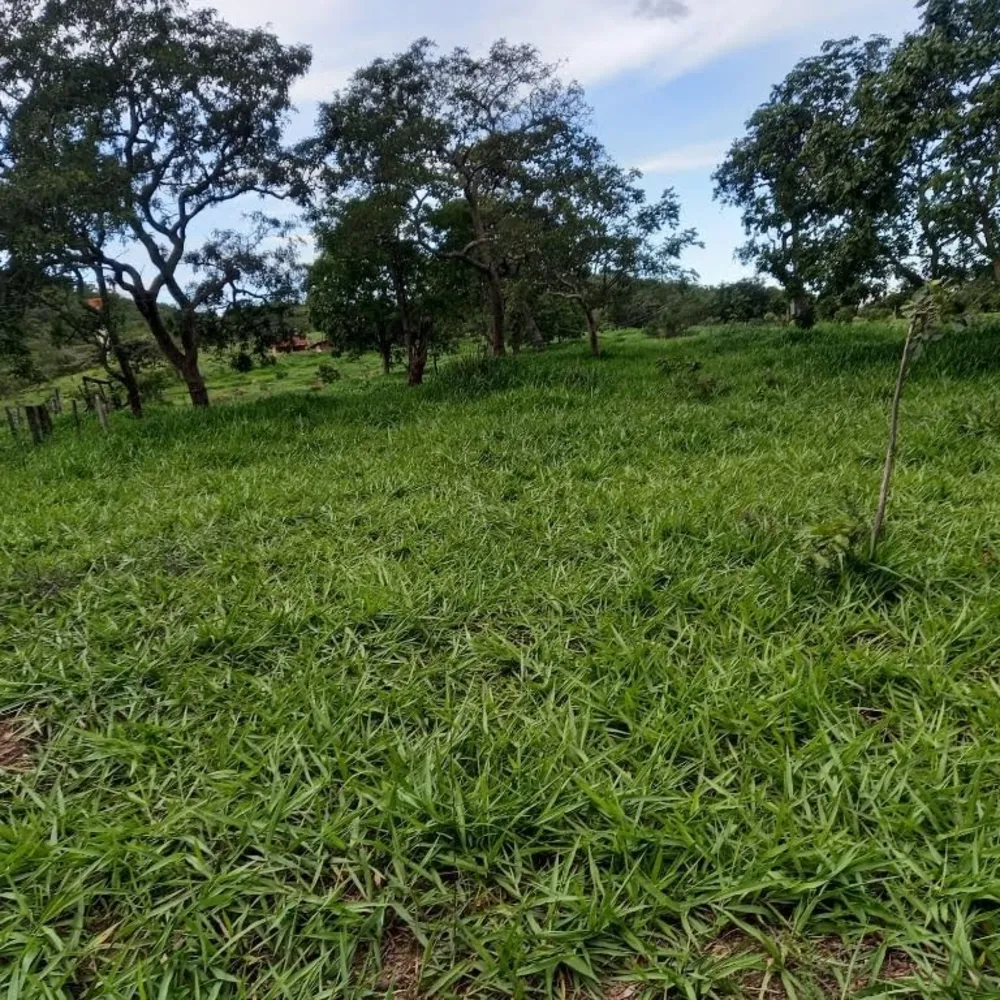 Fazenda, 155 hectares - Foto 3