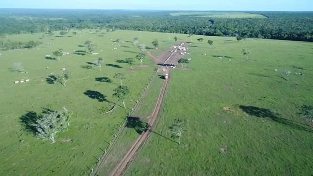 Fazenda, 6280 hectares - Foto 3