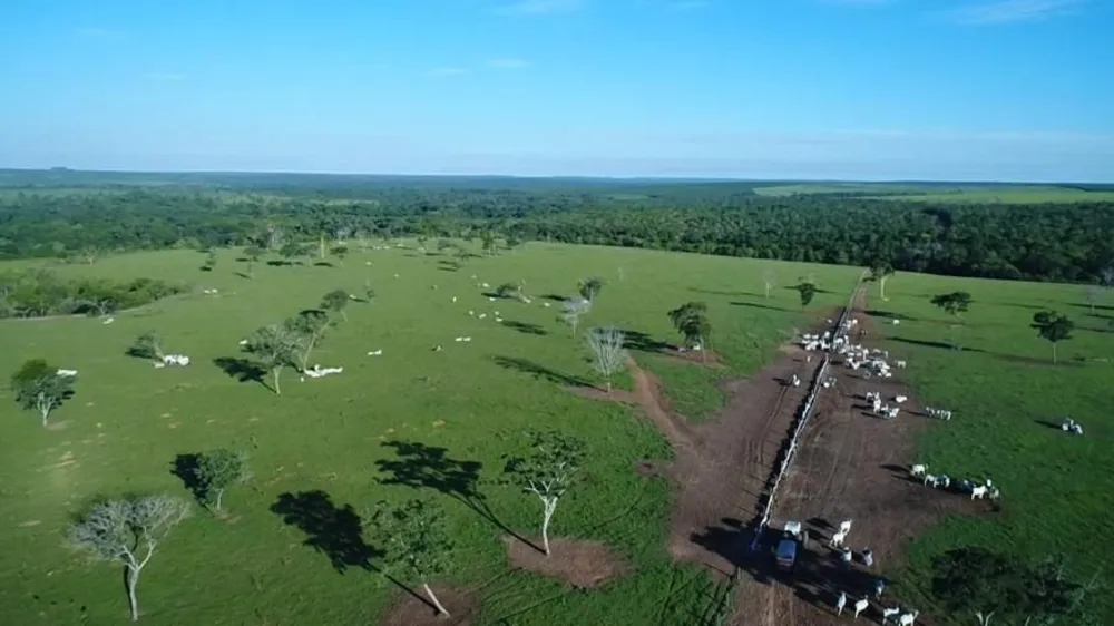 Fazenda, 6280 hectares - Foto 4