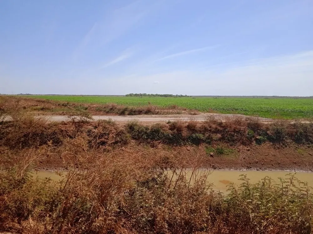 Fazenda, 7260 hectares - Foto 4