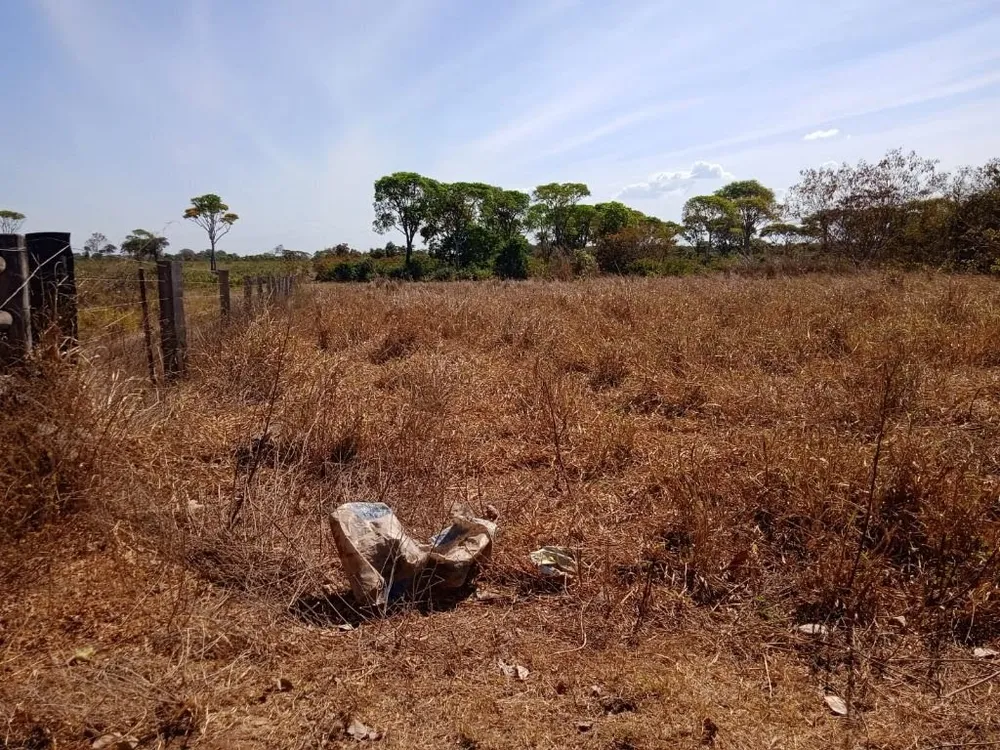 Fazenda, 7260 hectares - Foto 2