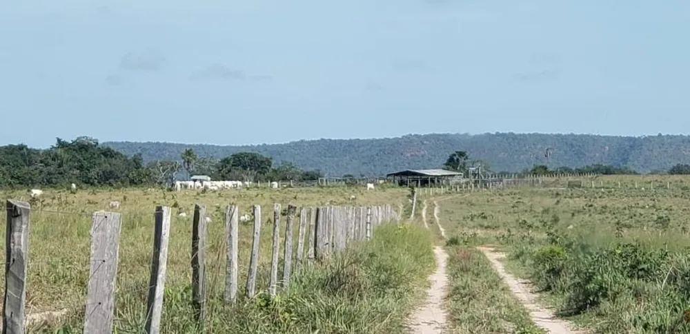 Fazenda, 1825 hectares - Foto 3