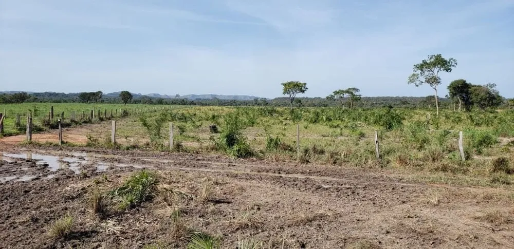 Fazenda, 1825 hectares - Foto 1