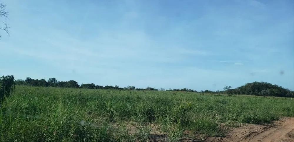 Fazenda, 1825 hectares - Foto 4
