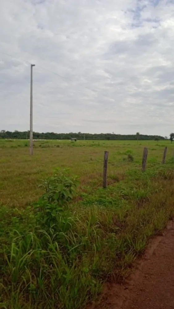 Fazenda, 5082 hectares - Foto 4