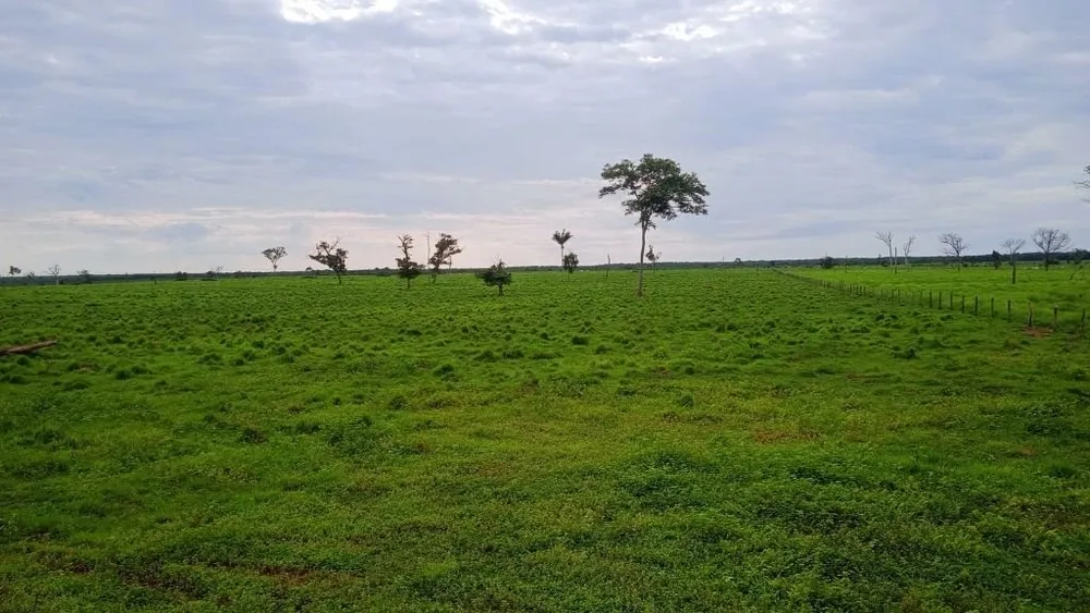Fazenda, 5082 hectares - Foto 2