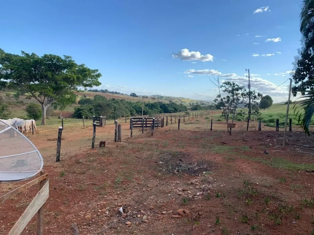 Fazenda, 1210 hectares - Foto 1