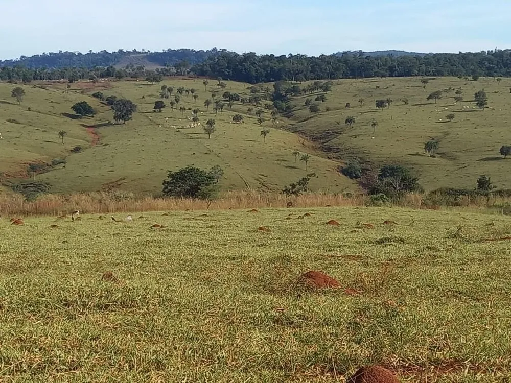 Fazenda, 1210 hectares - Foto 3