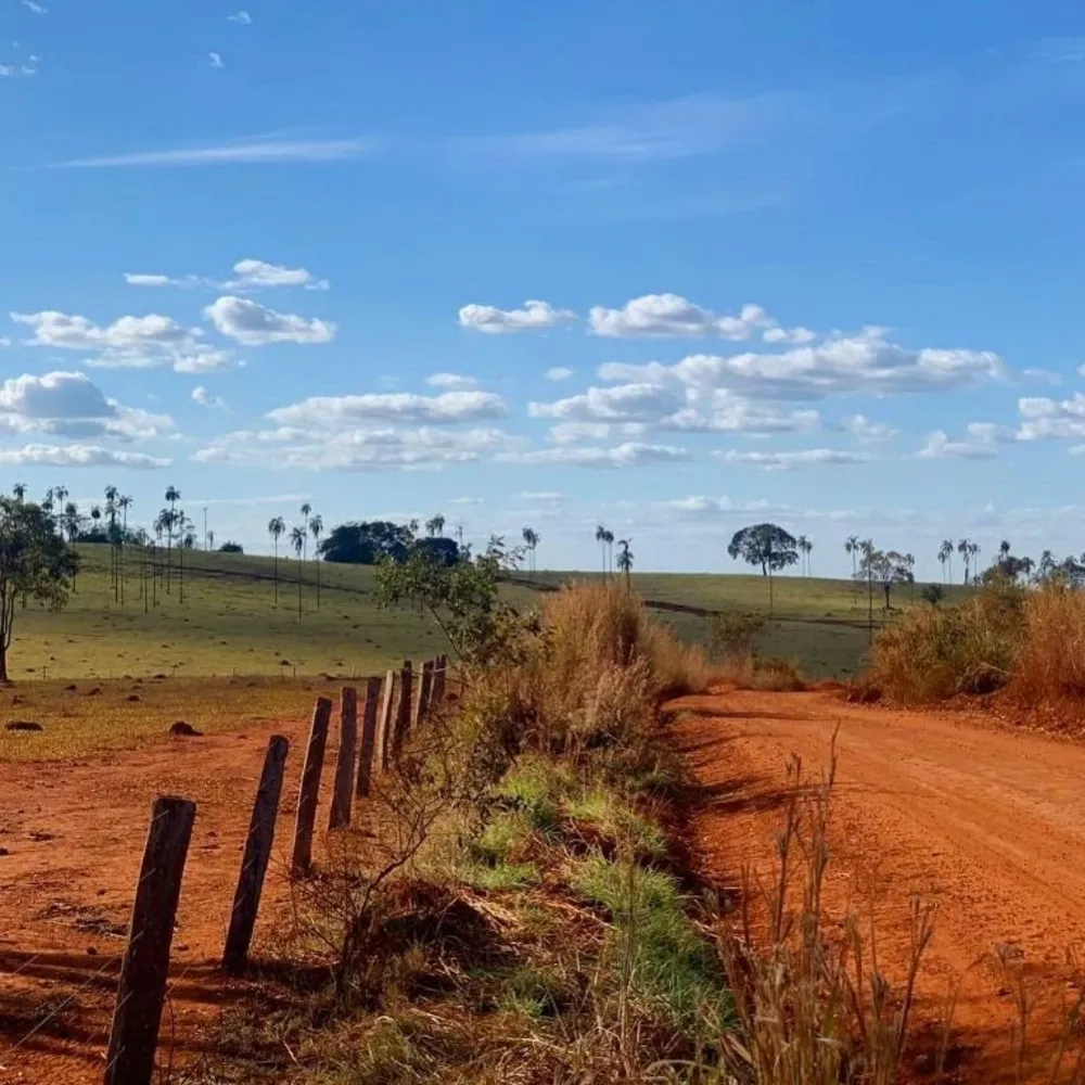 Fazenda, 1210 hectares - Foto 4