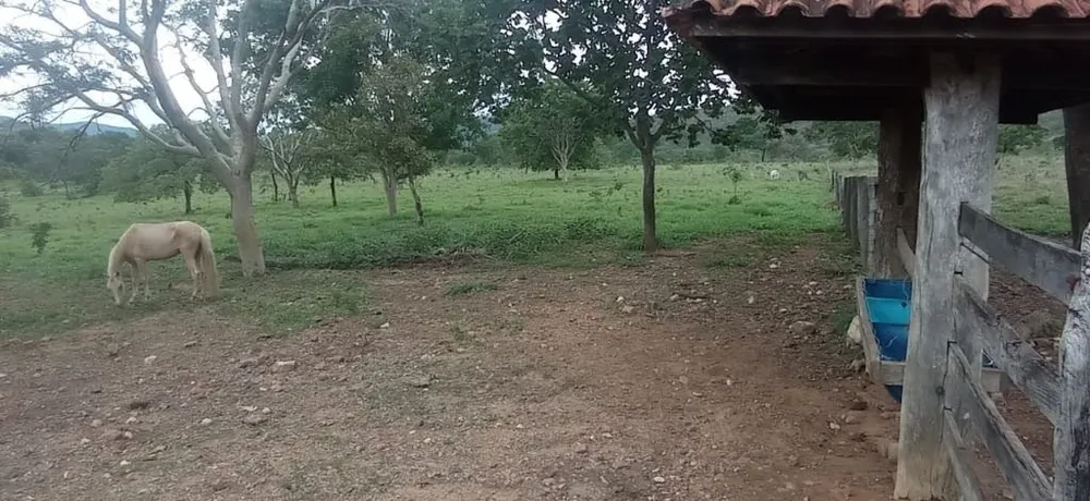Fazenda, 673 hectares - Foto 1