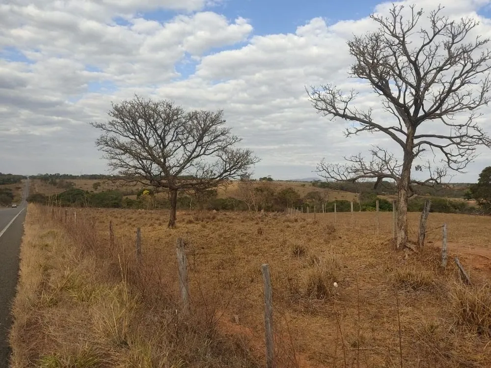 Fazenda, 213 hectares - Foto 2