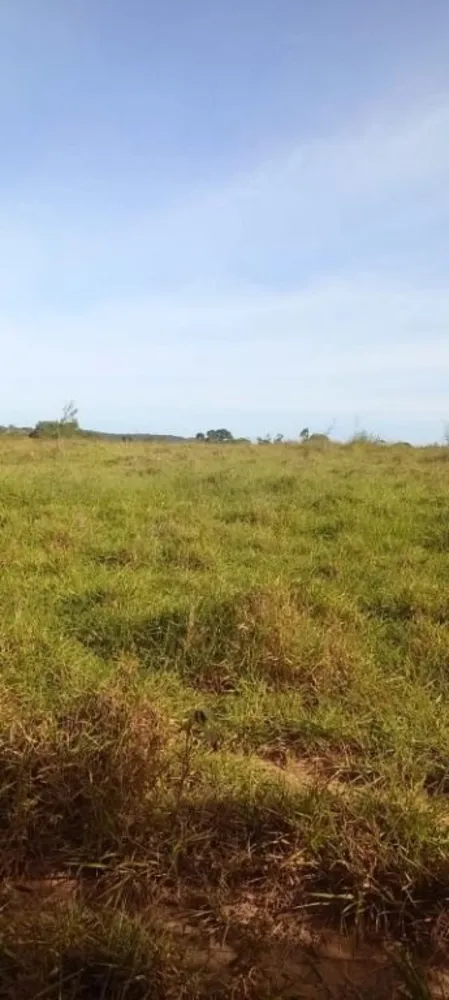 Fazenda, 213 hectares - Foto 3