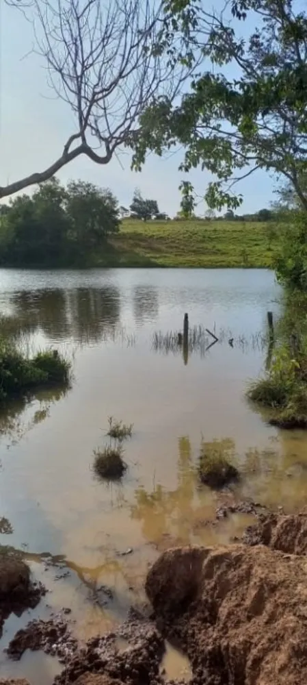 Fazenda, 213 hectares - Foto 1