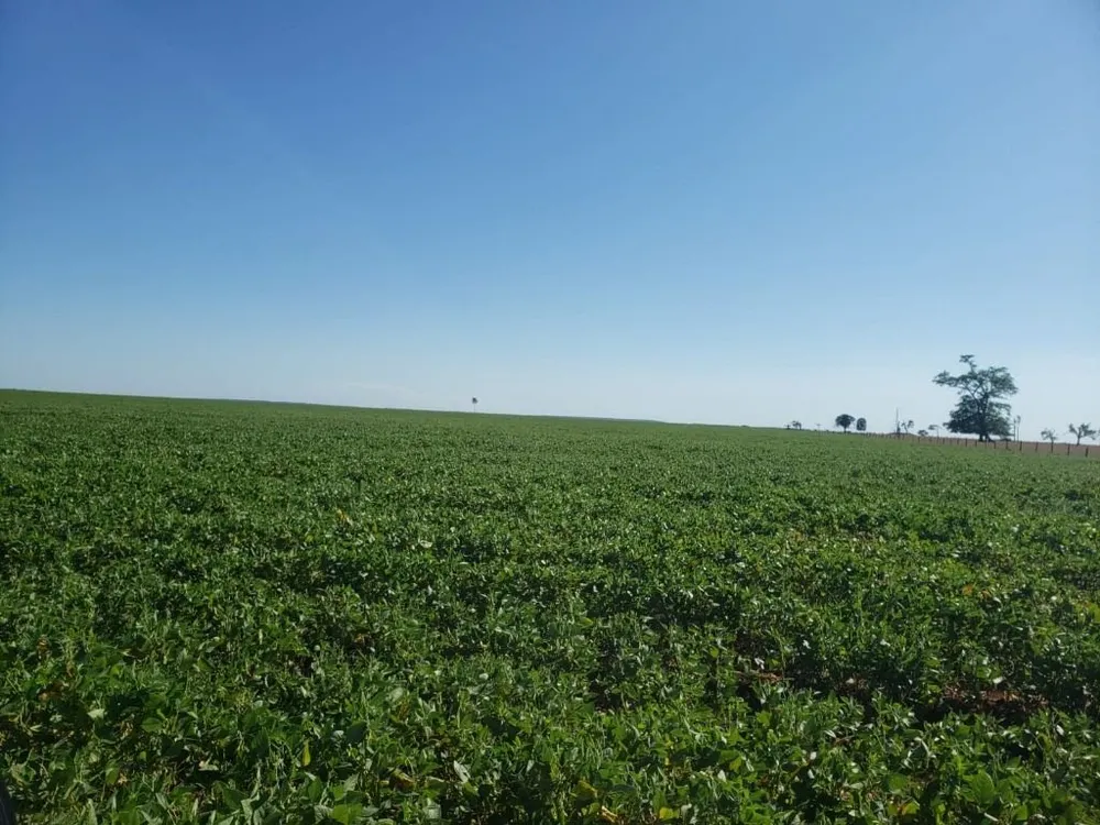 Fazenda, 1077 hectares - Foto 1