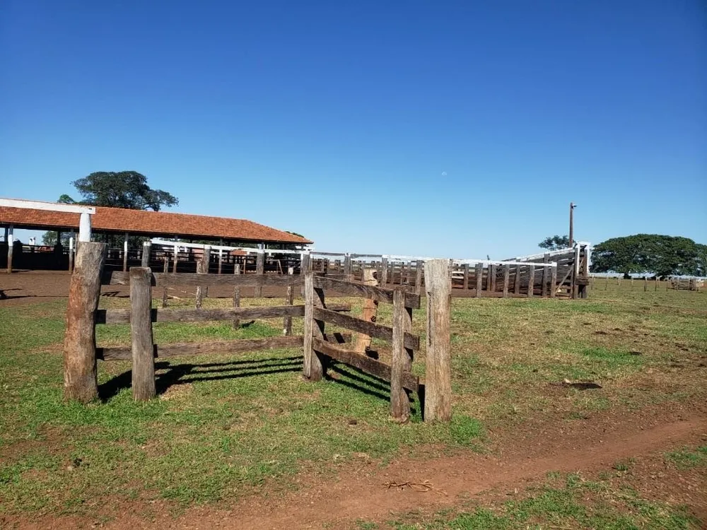 Fazenda, 1077 hectares - Foto 4